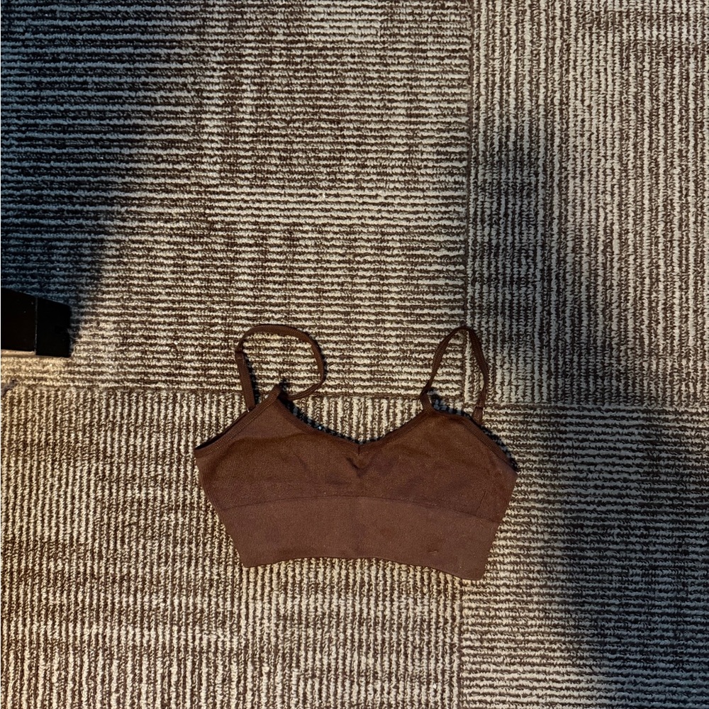 Aritzia Talula Bralette
